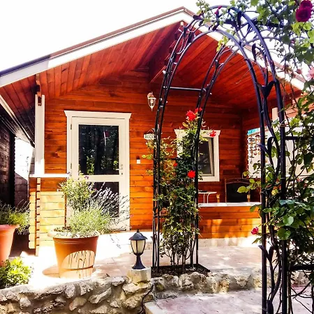 Chic Bungalow With Rooftop Terrace Access And 펜션 *